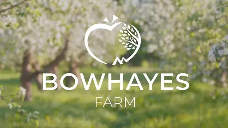 Campsite Bowhayes Farm - Camping & Glamping - Shepherd'S Hut 'Pippin' Venn Ottery