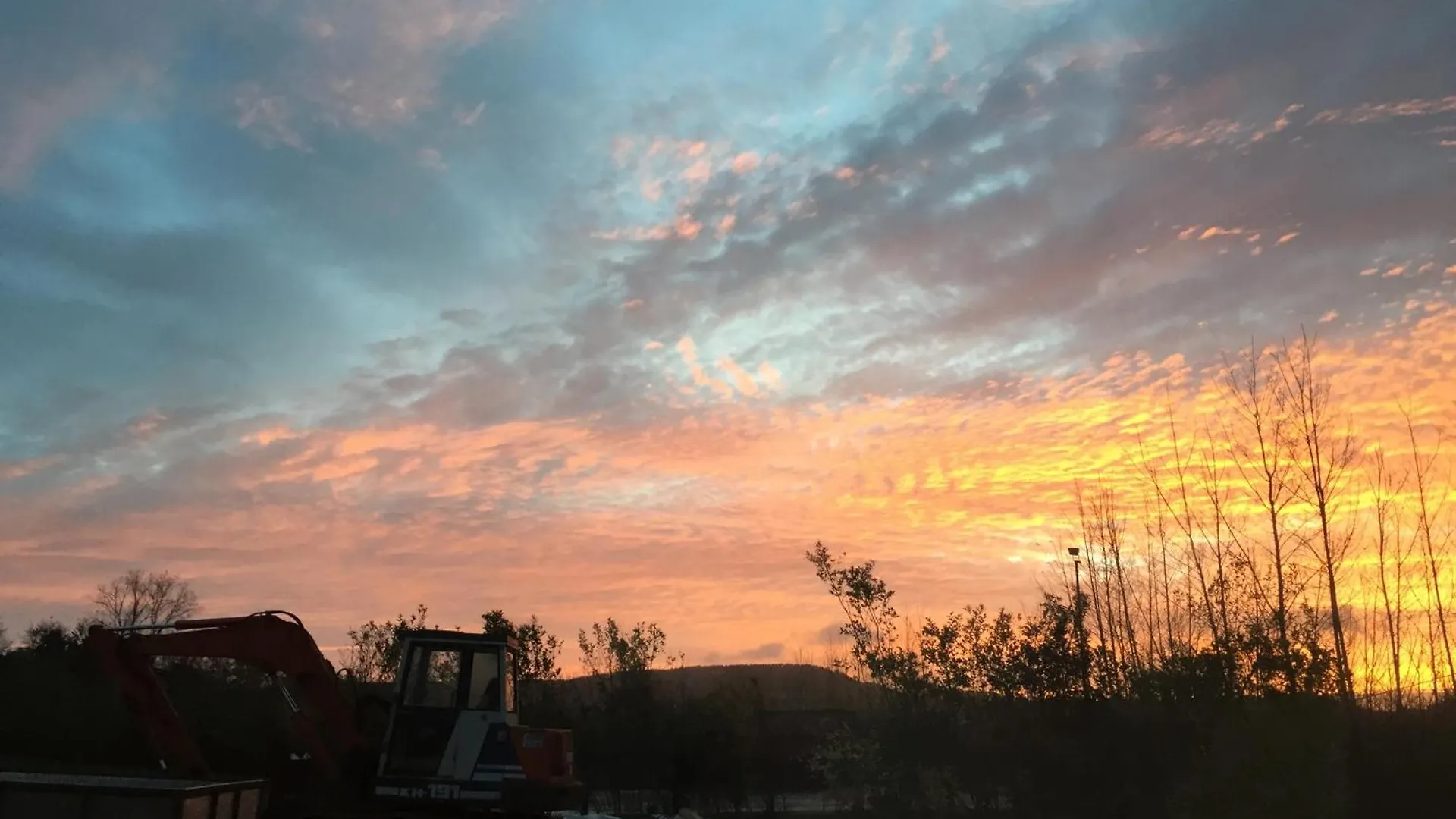 Bowhayes Farm - Camping & Glamping - Shepherd'S Hut 'Pippin' Venn Ottery Campsite